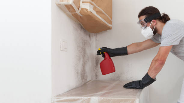 Professional Mold Removal technician working in Rogers, TX