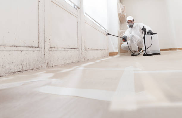 24/7 Emergency Mold Removal experts in Rogers, TX